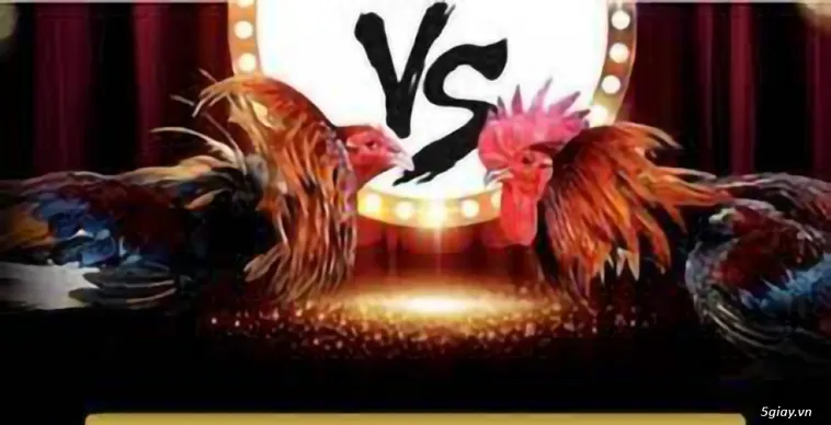 Khám Phá Đá Gà Alo789 Bùng Nổ Đam Mê Chiến Kê Đỉnh Cao Hấp Dẫn