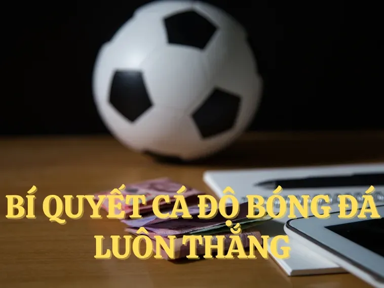 Tìm Hiểu Cá Cược Bóng Đá Alo789 Bí Quyết Thắng Lớn Đỉnh Cao 2 Tìm Hiểu Cá Cược Bóng Đá Alo789 Bí Quyết Thắng Lớn Đỉnh Cao
