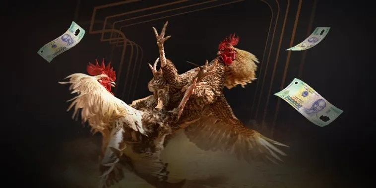 Khám Phá Đá Gà Alo789 Bùng Nổ Đam Mê Chiến Kê Đỉnh Cao Hấp Dẫn